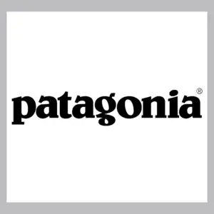 Patagonia patagonia logo